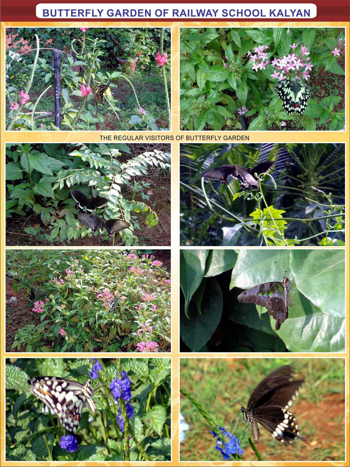 biodiversities