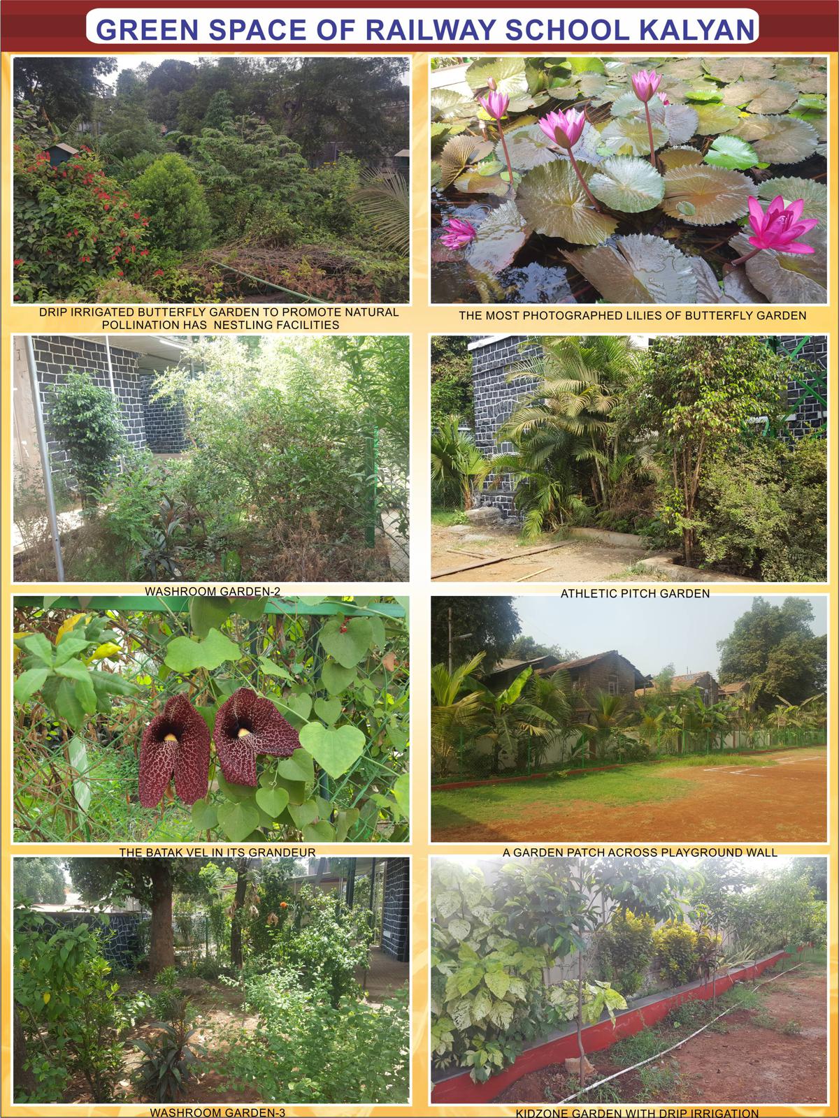 biodiversities